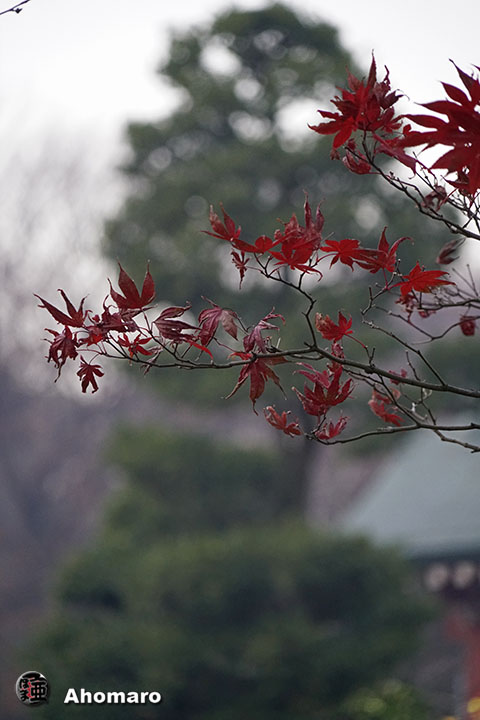 写真00