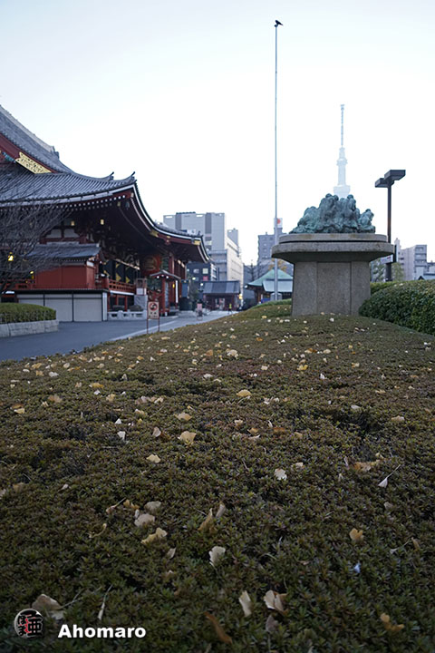 写真00