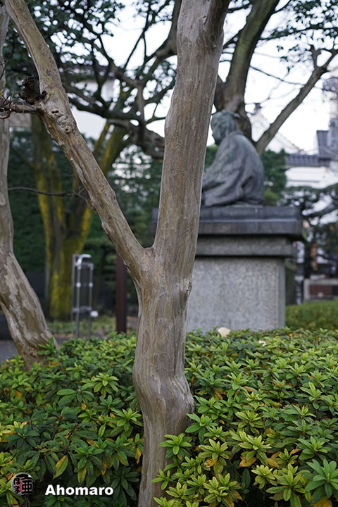 写真00