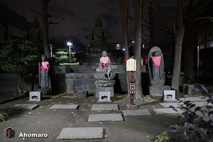 写真00