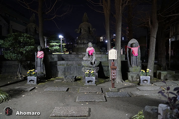 写真00