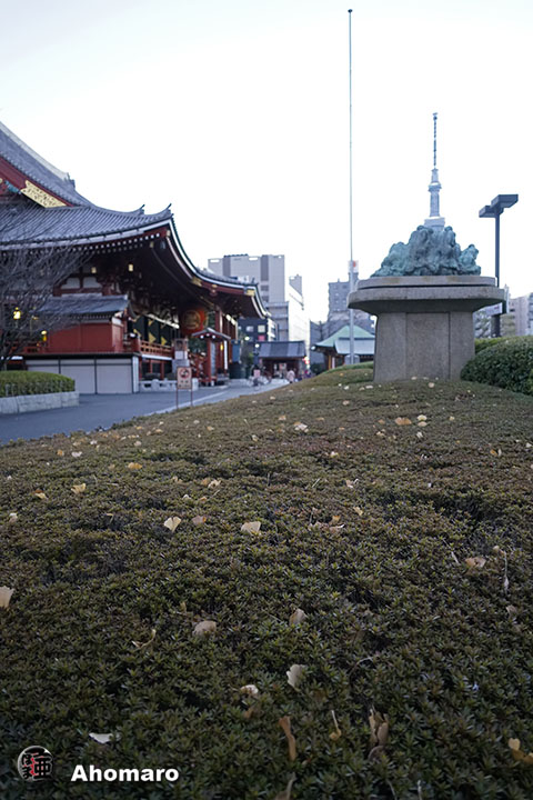 写真00