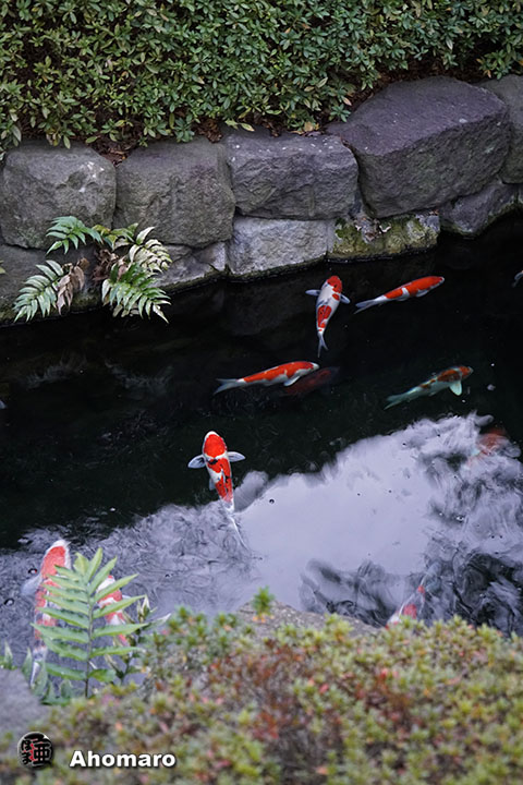 写真00