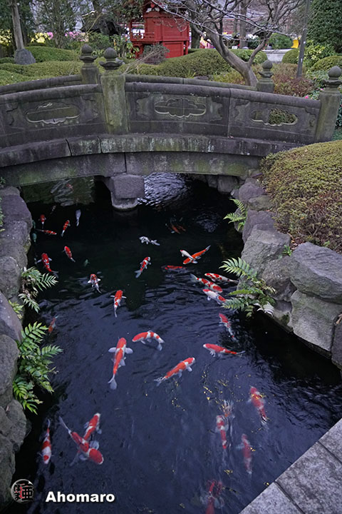 写真00