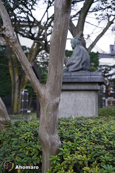 写真00
