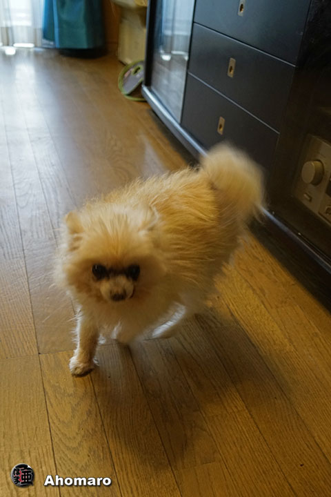 ʐ^00
