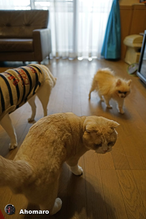 ʐ^00