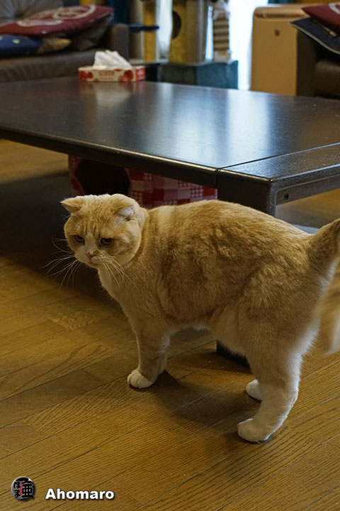 ʐ^00
