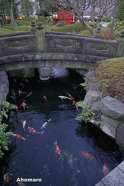 写真00