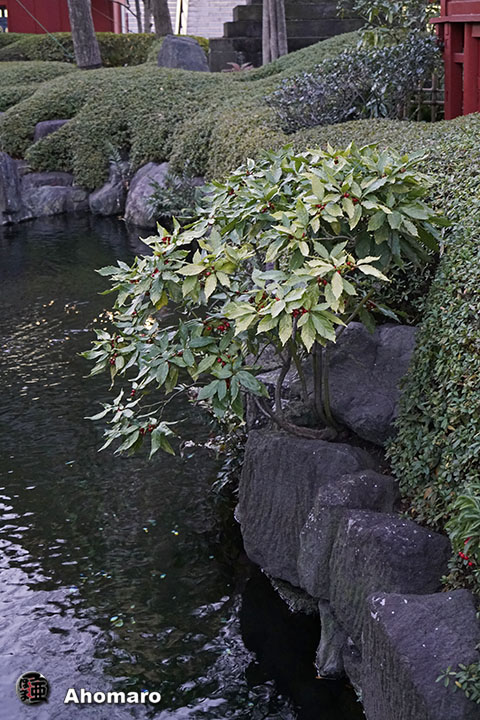 写真00