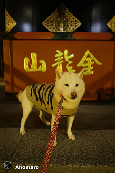 ʐ^00
