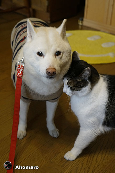 写真00