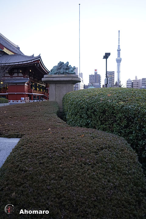 写真00