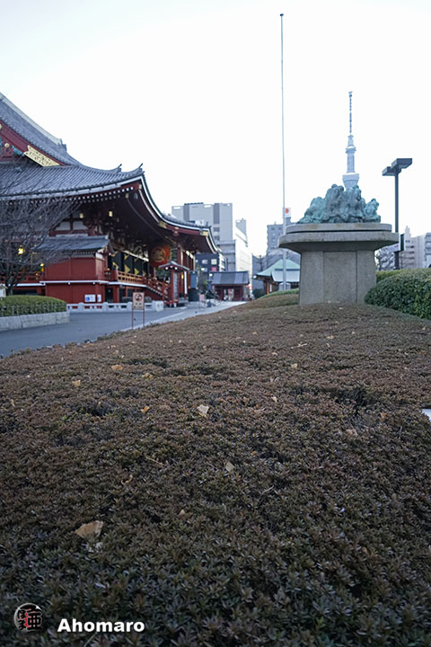 写真00