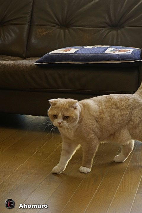 ʐ^00