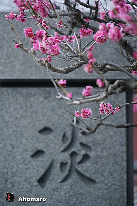写真00