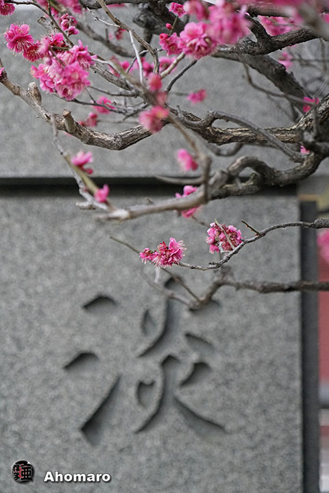 写真00