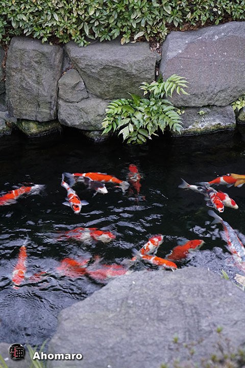 写真00