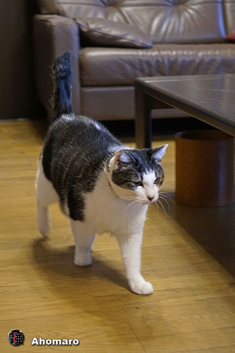 ʐ^00