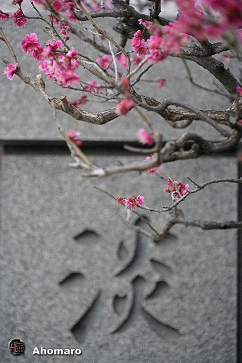 写真00