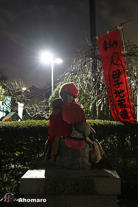 写真00
