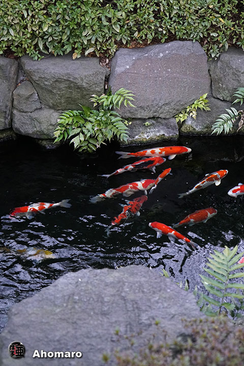 写真00