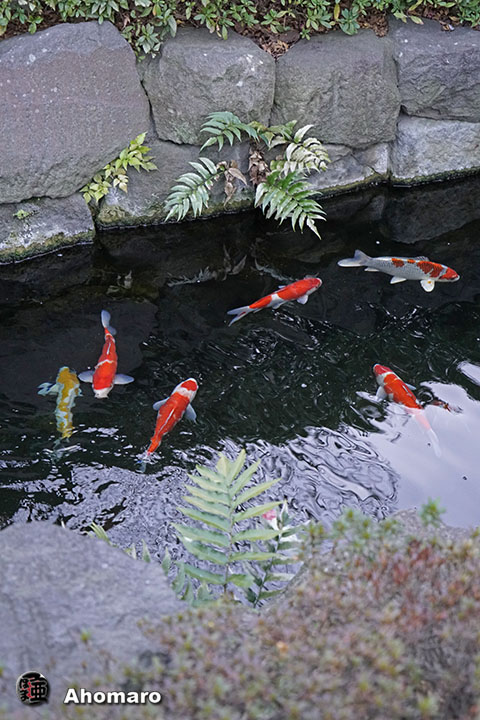 写真00