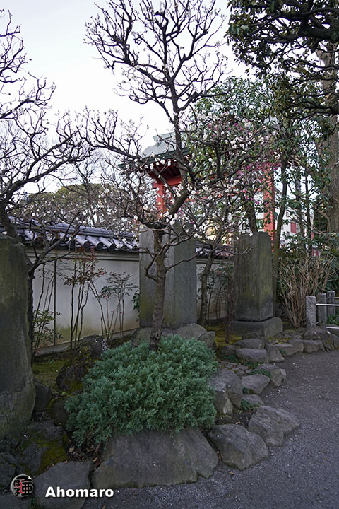 写真00