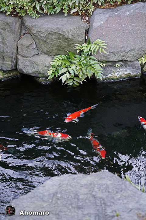 写真00