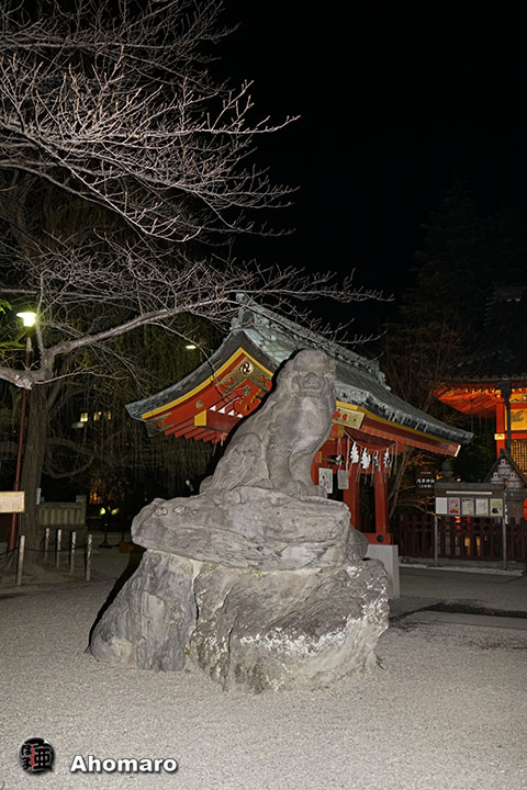 写真00
