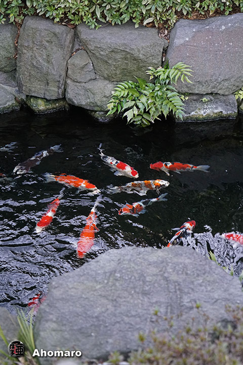 写真00
