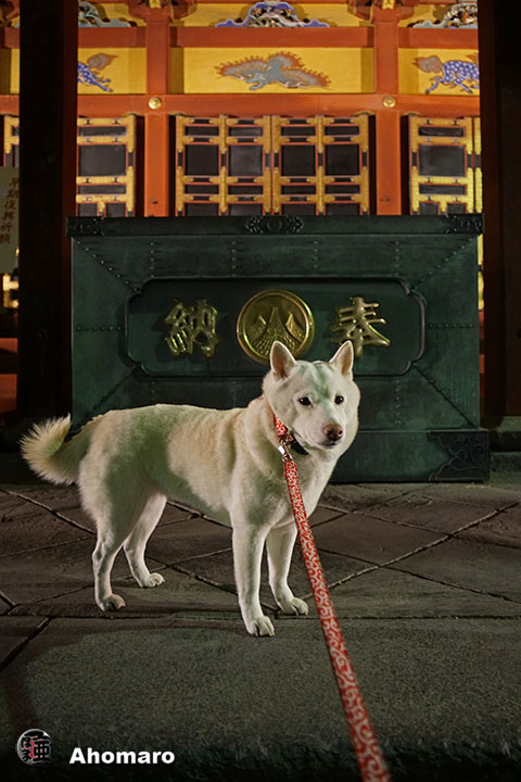 写真00