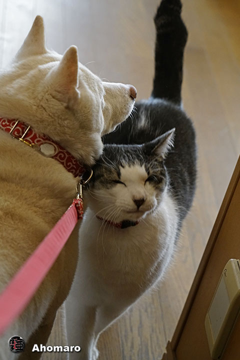 ʐ^00