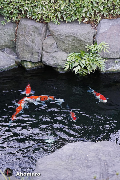 写真00