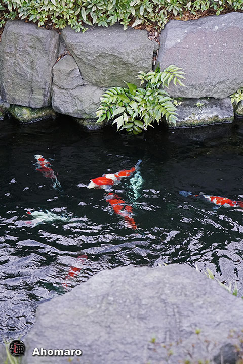 写真00
