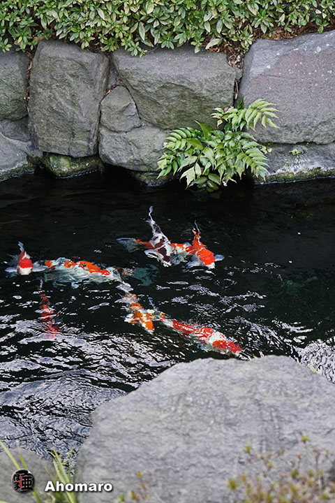 写真00