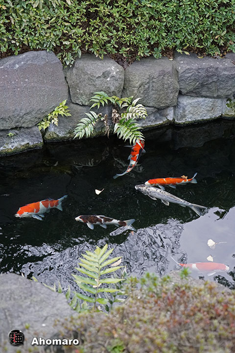 写真00