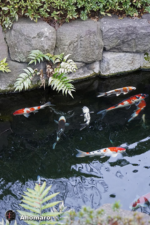 写真00