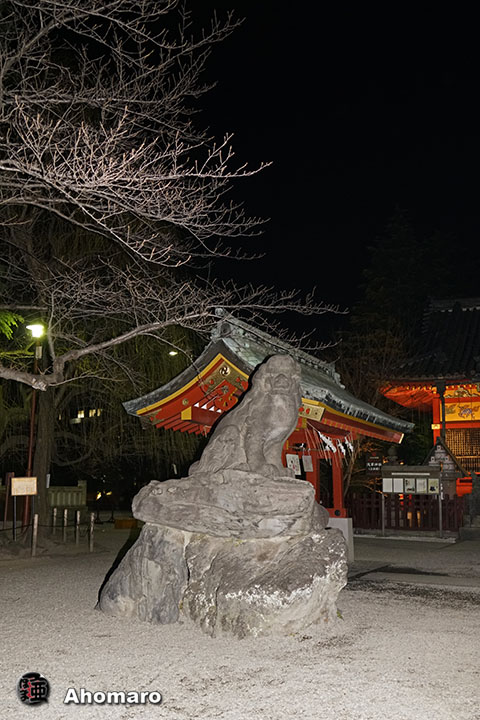 写真00
