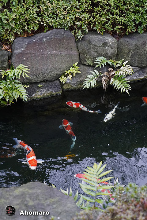 写真00