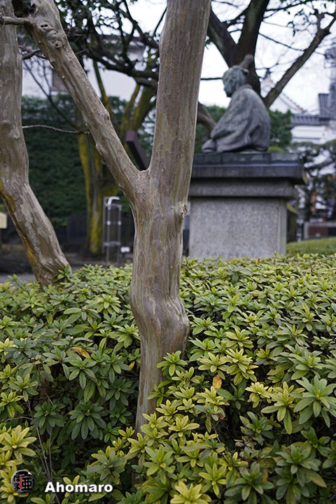 写真00