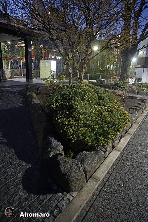 写真00