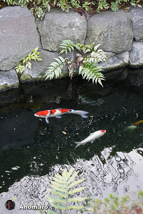 写真00