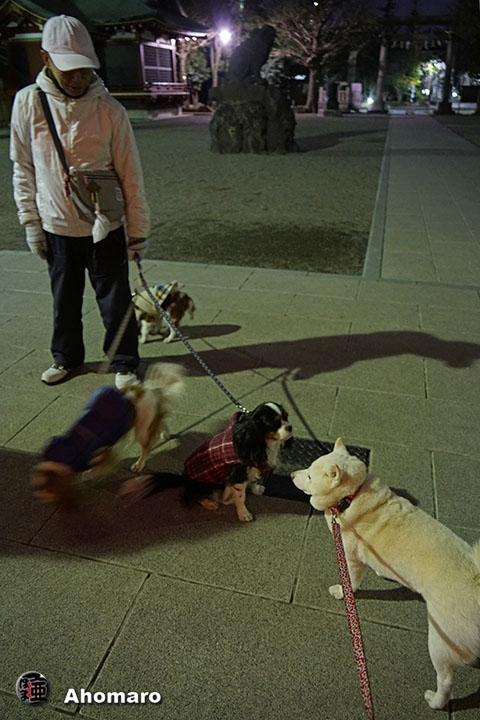 写真00