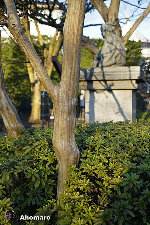 写真00