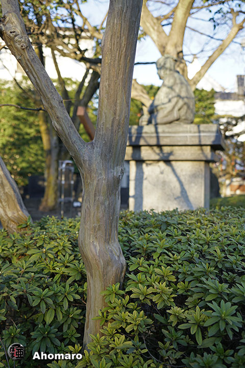 写真00