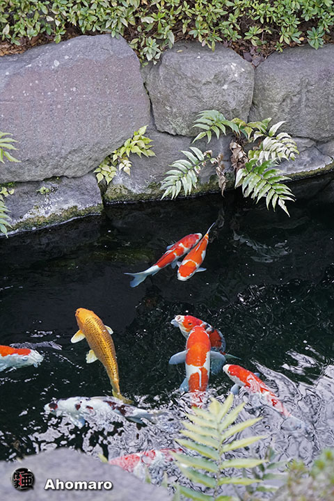 写真00