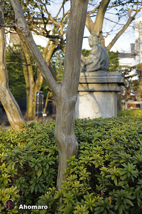 写真00