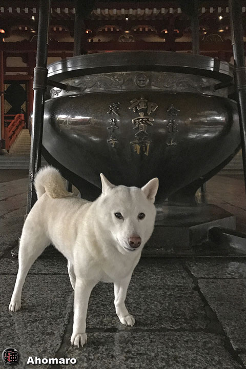 写真00