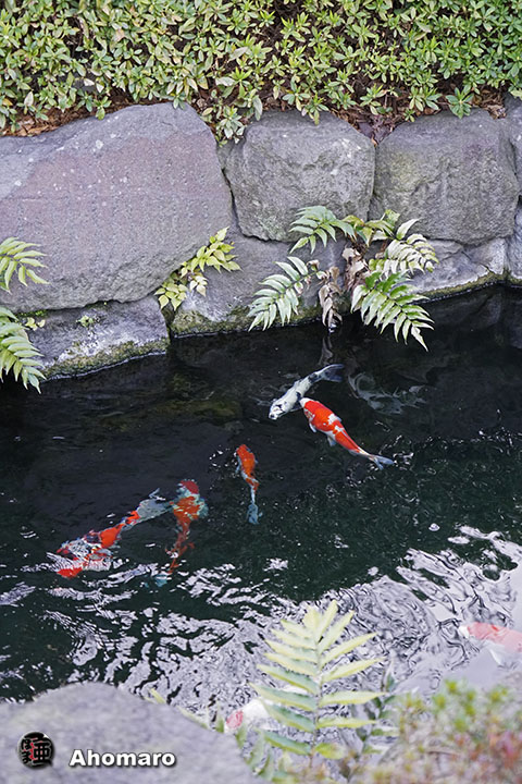 写真00